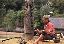 Primitivo Papua Guiné